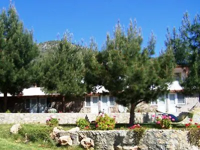 Hotel Olive Garden
